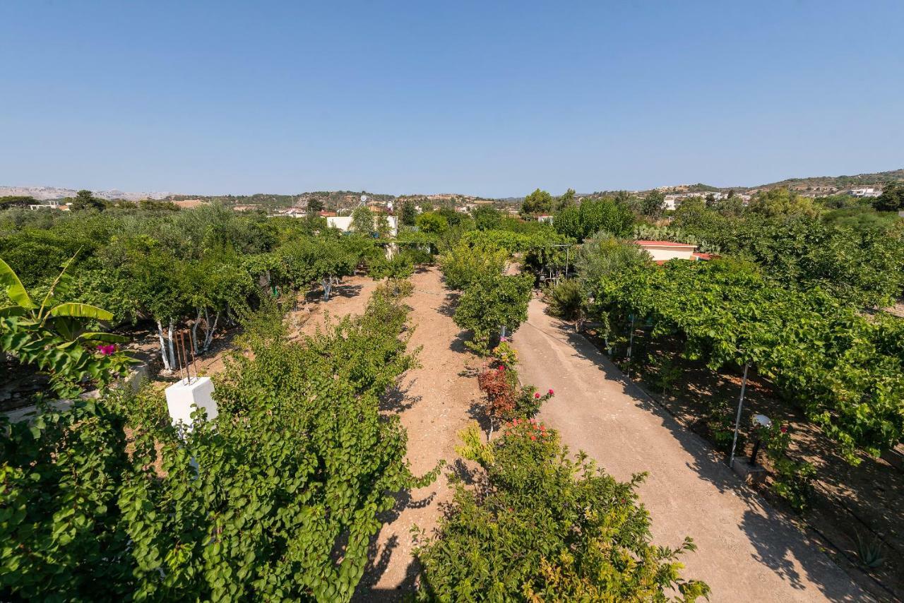 Eleftherias Garden House Афанту Экстерьер фото